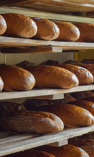 bread, a loaf of bread, bakery-2432090.jpg